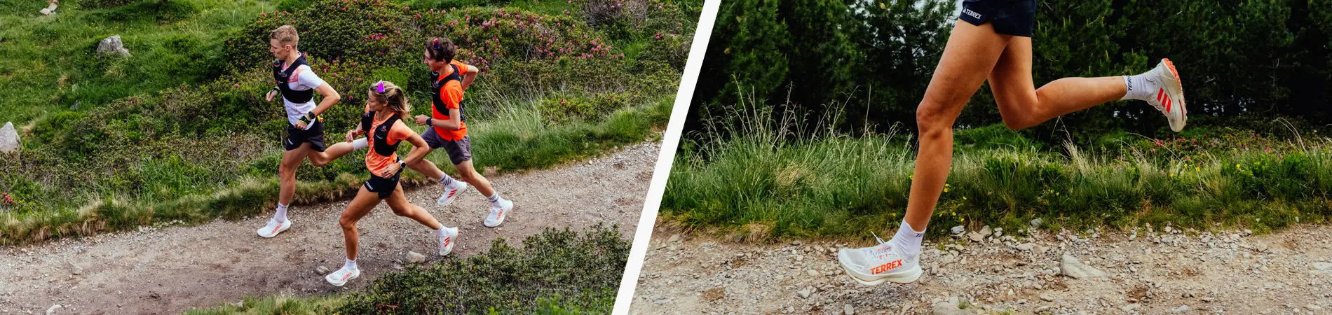 adidas Terrex trail header